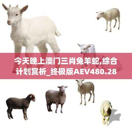 手舞足蹈 第41页