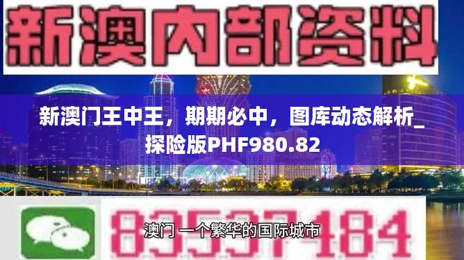 新澳门王中王,期期必中,图库动态解析_探险版PHF980.82