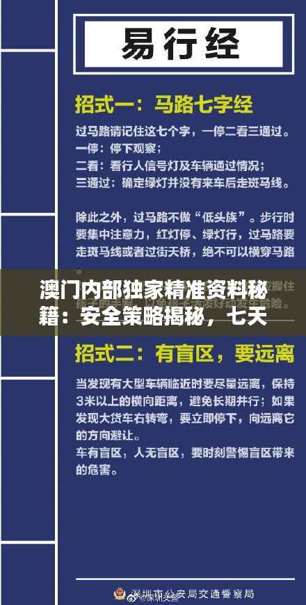澳门内部独家精准资料秘籍:安全策略揭秘,七天版VOY559.27