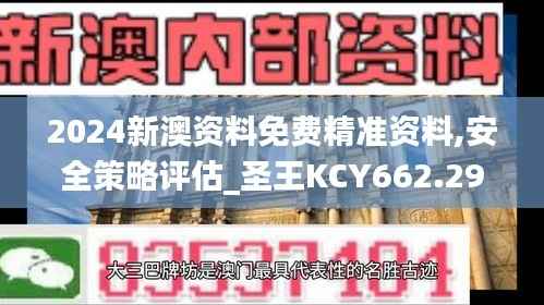 2024新澳资料免费精准资料,安全策略评估_圣王KCY662.29