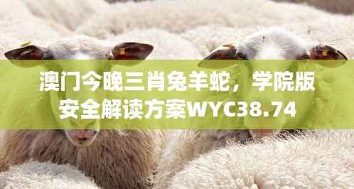 澳门今晚三肖兔羊蛇,学院版安全解读方案WYC38.74