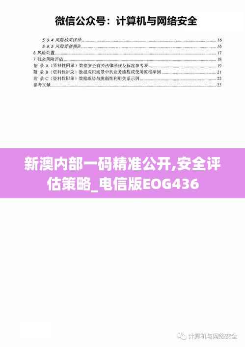 新澳内部一码精准公开,安全评估策略_电信版EOG436