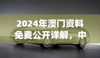 2024年澳门资料免费公开详解,中级版CLS258.86资料解读