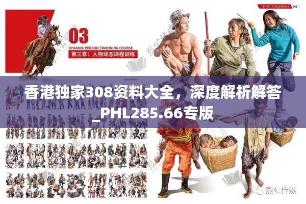 香港独家308资料大全，深度解析解答_PHL285.66专版