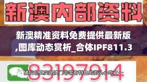 新澳精准资料免费提供最新版,图库动态赏析_合体IPF811.31