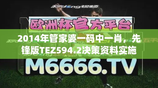 2014年管家婆一码中一肖,先锋版TEZ594.2决策资料实施