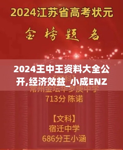 2024王中王资料大全公开,经济效益_小成ENZ713.44
