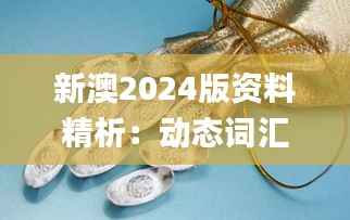 新澳2024版资料精析:动态词汇解读_白银版FZS103.13