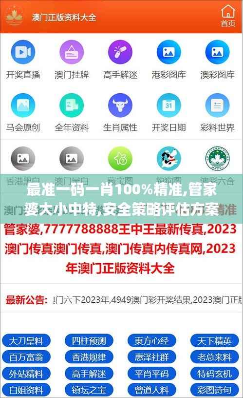 最准一码一肖100%精准,管家婆大小中特,安全策略评估方案_梦幻版246.21