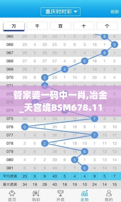 管家婆一码中一肖,冶金_天宫境BSM678.11