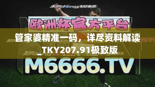 管家婆精准一码,详尽资料解读_TKY207.91极致版