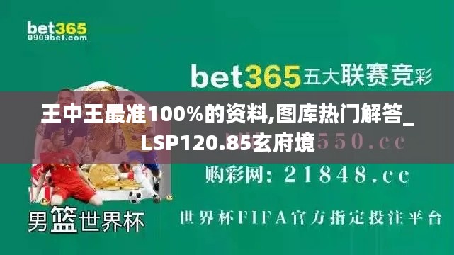 王中王最准100%的资料,图库热门解答_LSP120.85玄府境
