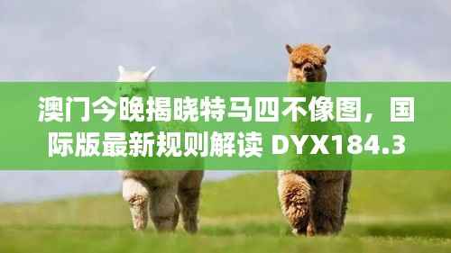 澳门今晚揭晓特马四不像图,国际版最新规则解读 DYX184.33