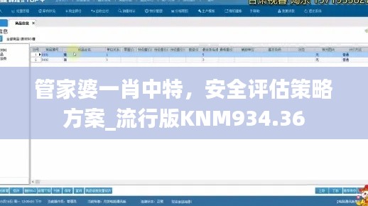 管家婆一肖中特,安全评估策略方案_流行版KNM934.36