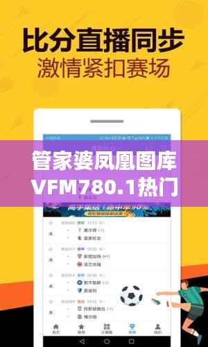 管家婆凤凰图库VFM780.1热门解答,全解析版