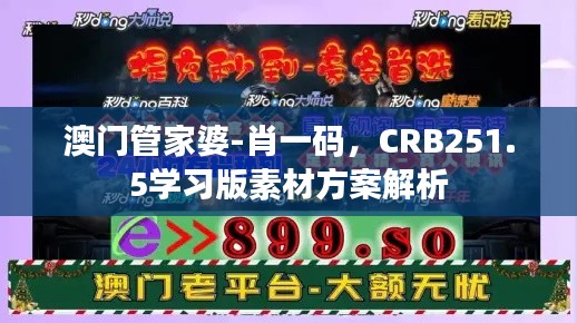 澳门管家婆-肖一码,CRB251.5学习版素材方案解析