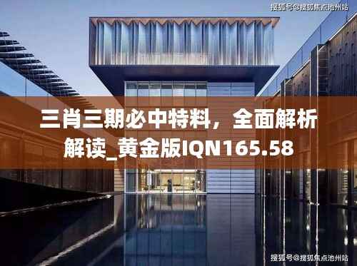 三肖三期必中特料,全面解析解读_黄金版IQN165.58