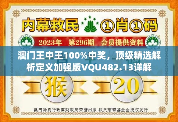 澳门王中王100%中奖,顶级精选解析定义加强版VQU482.13详解