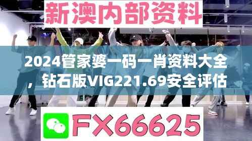 2024管家婆一码一肖资料大全,钻石版VIG221.69安全评估攻略