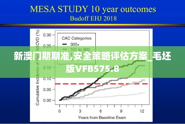 新澳门期期准,安全策略评估方案_毛坯版VFB575.8