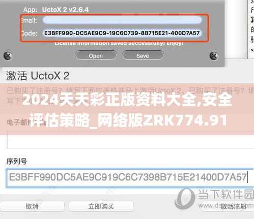 2024天天彩正版资料大全,安全评估策略_网络版ZRK774.91
