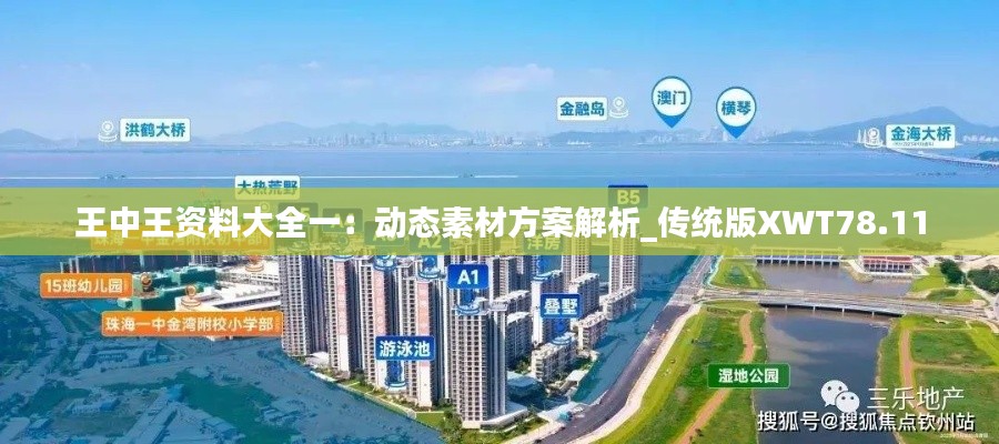 王中王资料大全一:动态素材方案解析_传统版XWT78.11