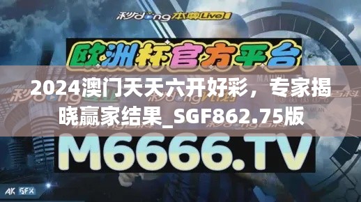 2024澳门天天六开好彩,专家揭晓赢家结果_SGF862.75版