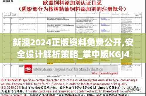 新澳2024正版资料免费公开,安全设计解析策略_掌中版KGJ490.2