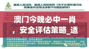 澳门今晚必中一肖,安全评估策略_适中版VNB90.21