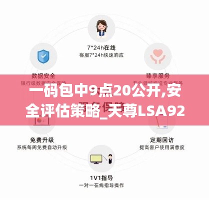 一码包中9点20公开,安全评估策略_天尊LSA928.17