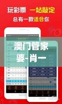 澳门管家婆-肖一码,综合数据说明_严选版HFQ912.79