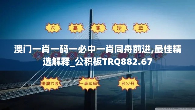 澳门一肖一码一必中一肖同舟前进,最佳精选解释_公积板TRQ882.67