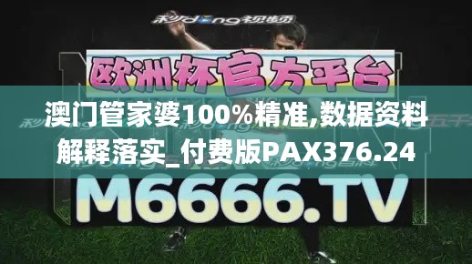 澳门管家婆100%精准,数据资料解释落实_付费版PAX376.24