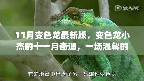变色龙小杰的秋日奇遇,最新故事揭秘十一月时光