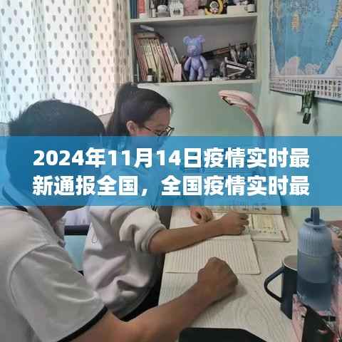 2024年11月14日全国疫情实时最新通报与深度评测