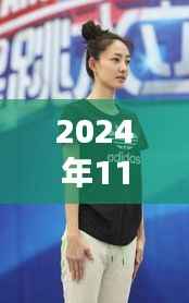 王丽坤2024年11月14日最新动态,星光璀璨开启崭新篇章
