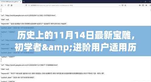 历史上的11月14日,最新宝雕制作指南——从初学者到进阶用户的全程详解