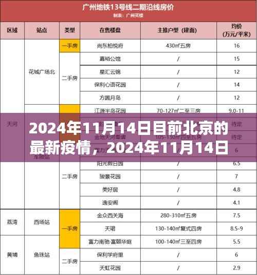 2024年11月14日北京最新疫情概况及防控措施分析报告