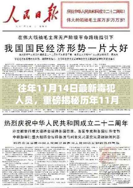 揭秘历年毒犯动态,毒品犯罪背后的真相深度剖析