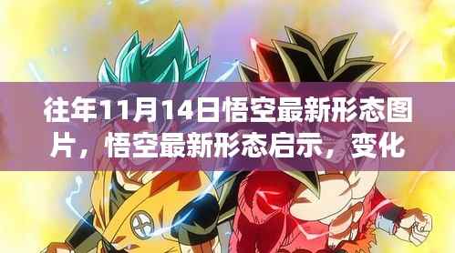 往年11月14日悟空最新形态启示,力量变化与学习带来的自信与成就感图片欣赏