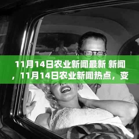 11月14日农业新闻热点,变革的田野上,学习带来的自信与成就感