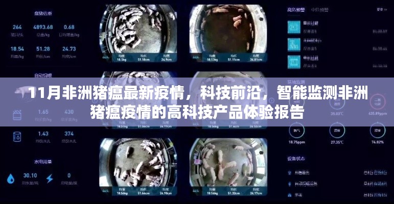 花开无言 第22页