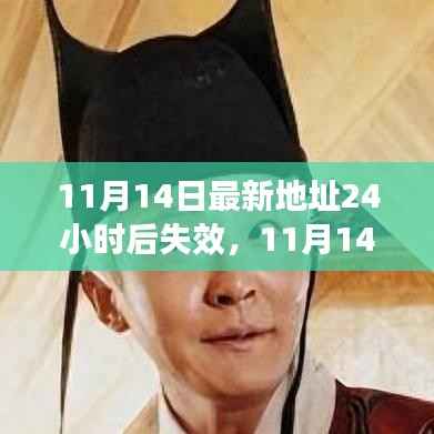 时代的数字印记,新地址浮现与消逝的历程(11月14日最新地址,时效仅一天)