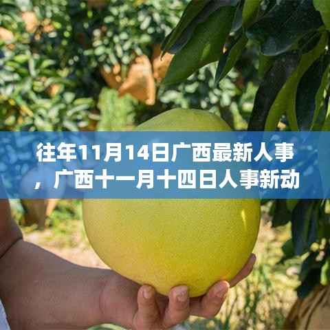 广西人事新动态与美景之旅,寻找内心的宁静与平和之路