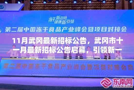 武冈市最新招标公告启幕,引领新一轮投资热潮,十一月招标信息一览