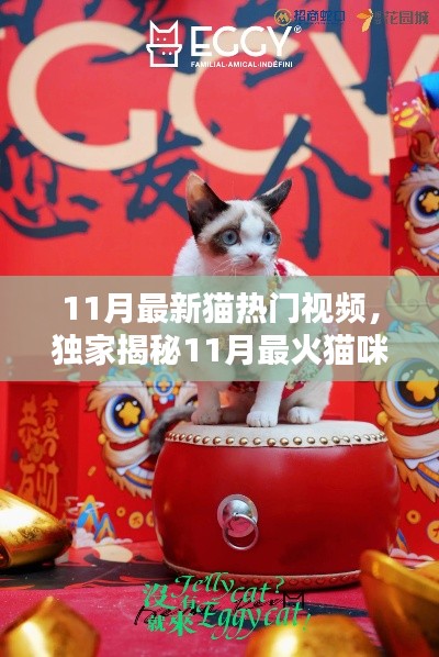 初遇在故事开头 第26页