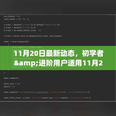 初学者与进阶用户指南,最新动态步骤指南,完成新任务或学习新技能的详细步骤(11月20日更新)