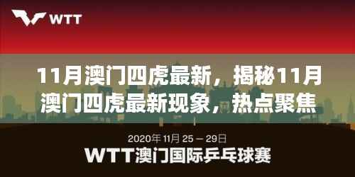 揭秘热点,11月澳门四虎最新现象深度解读与聚焦