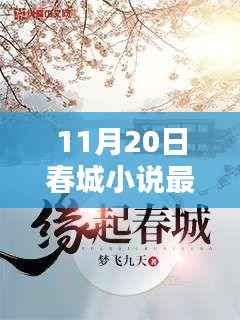 春城小说独家揭秘,最新篇章揭秘