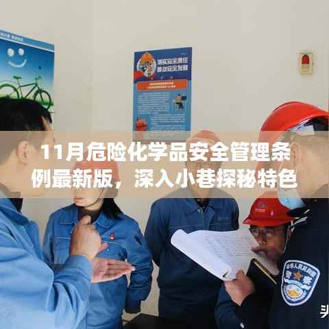 揭秘危险化学品安全管理条例最新版背后的故事,深入小巷探秘特色小店的安全挑战与应对之道